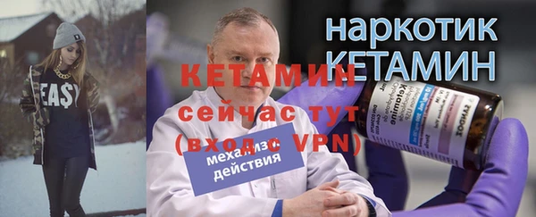 сатива Надым