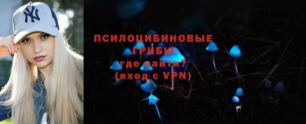 сатива Надым