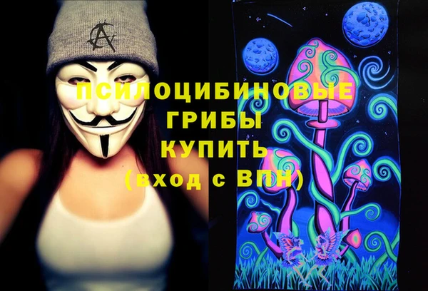 гидропоника Алапаевск
