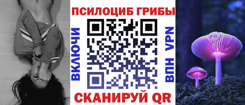 МЕГА зеркало  Тында  Галлюциногенные грибы прущие грибы 