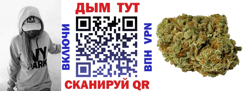 купить  сайты  Тында  даркнет состав  Бошки марихуана план 